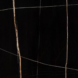 Sahara Noir