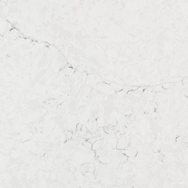 7701 Calacatta Edera 1