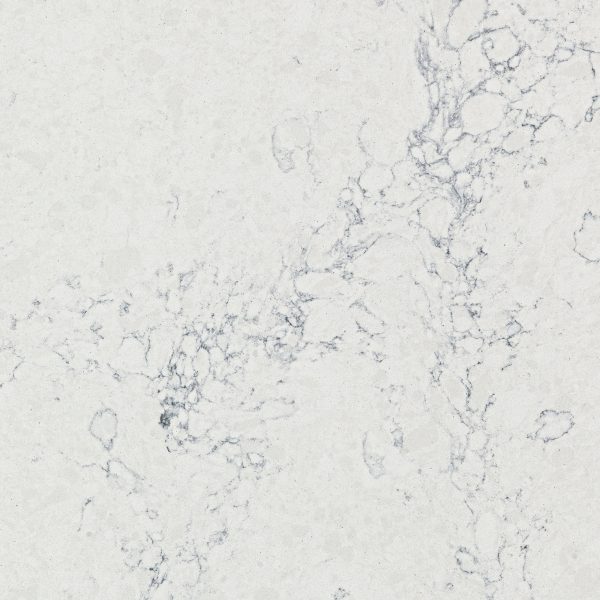 7702 Calacatta Liana 1
